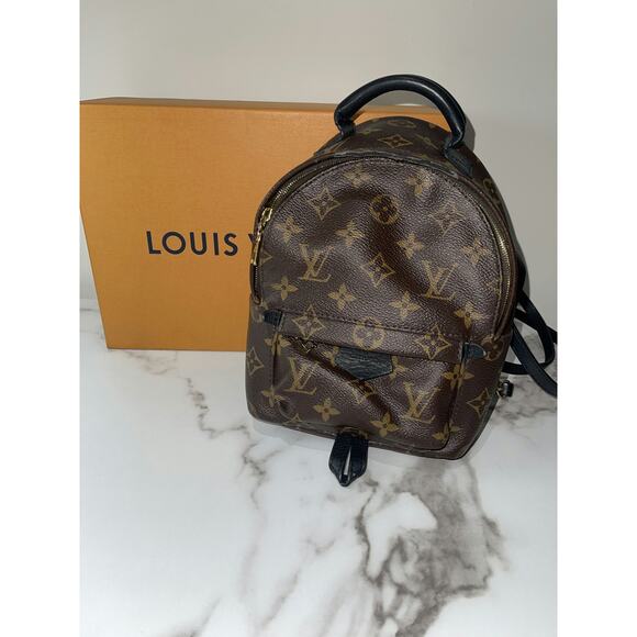 Louis Vuitton Handbags - Louis Vuitton Palm Springs Mini Monogram Canvas Backpack